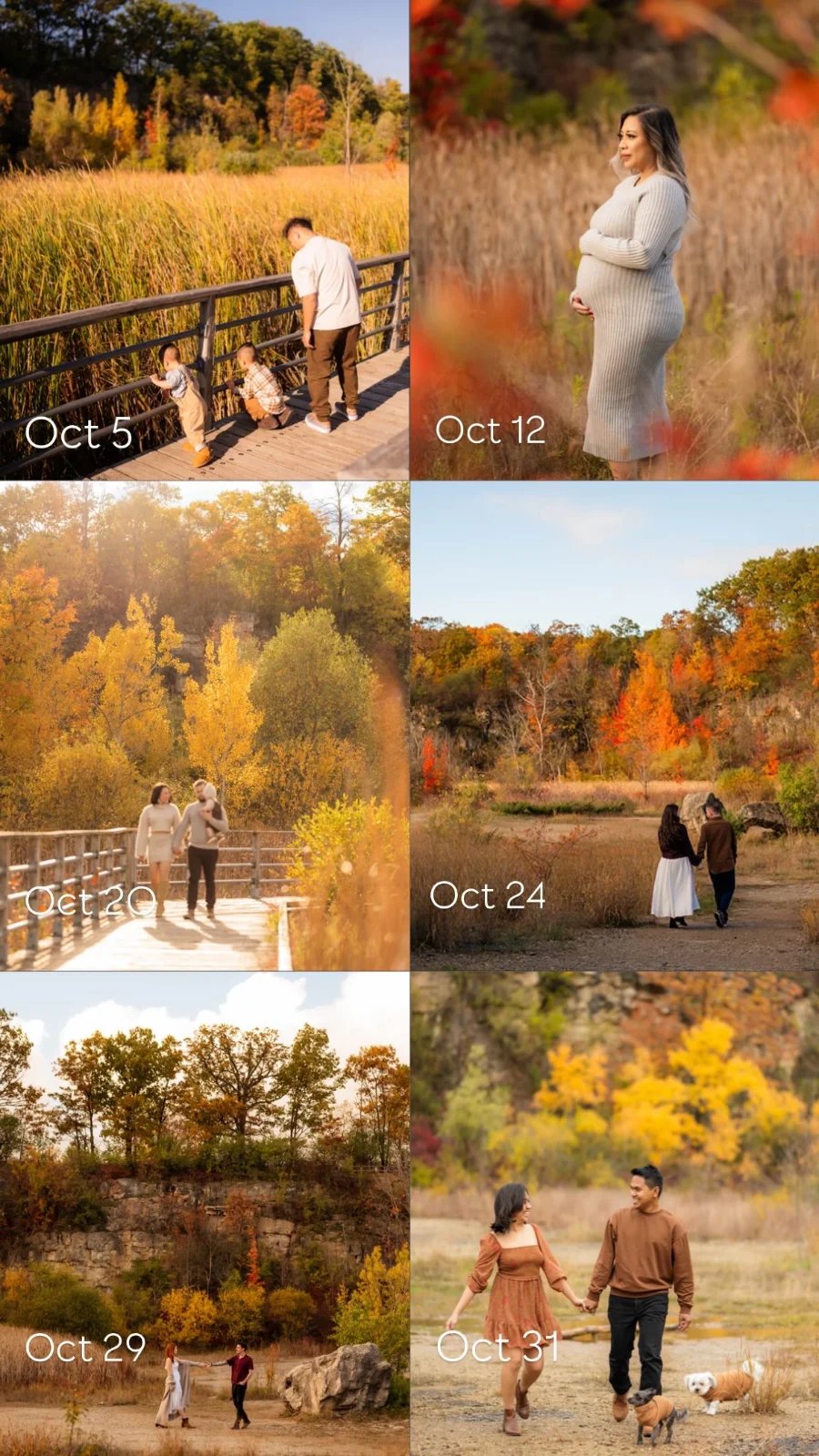Fall photography sessions on different dates