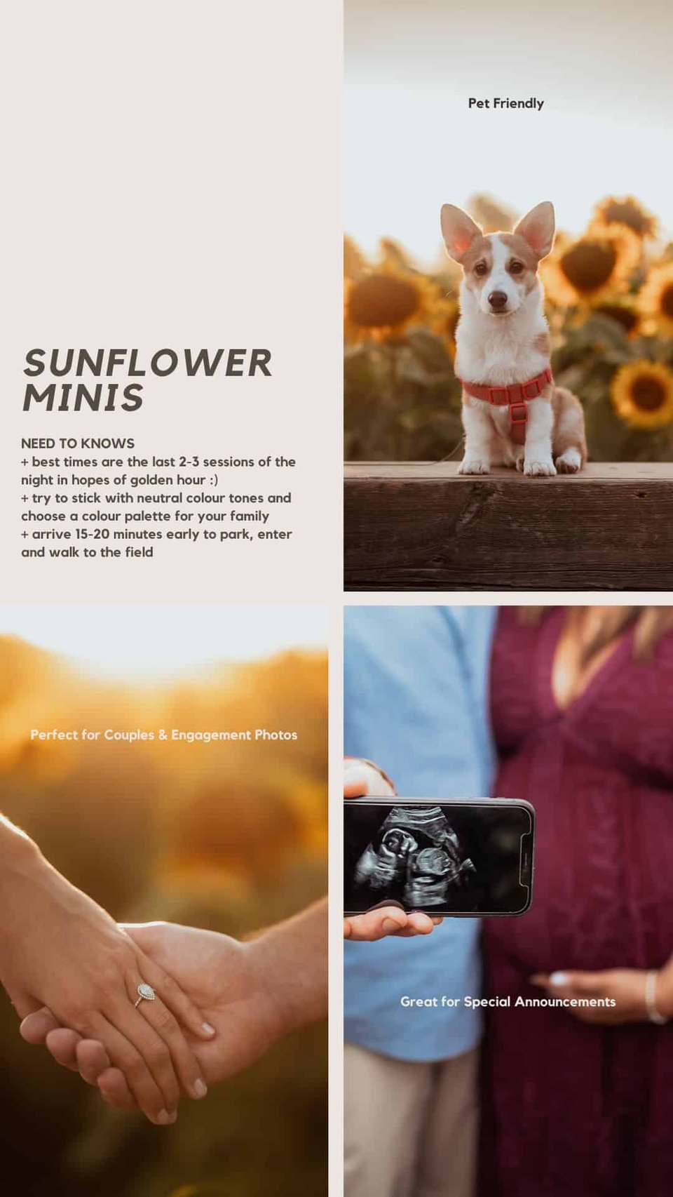 Additional sunflower session details