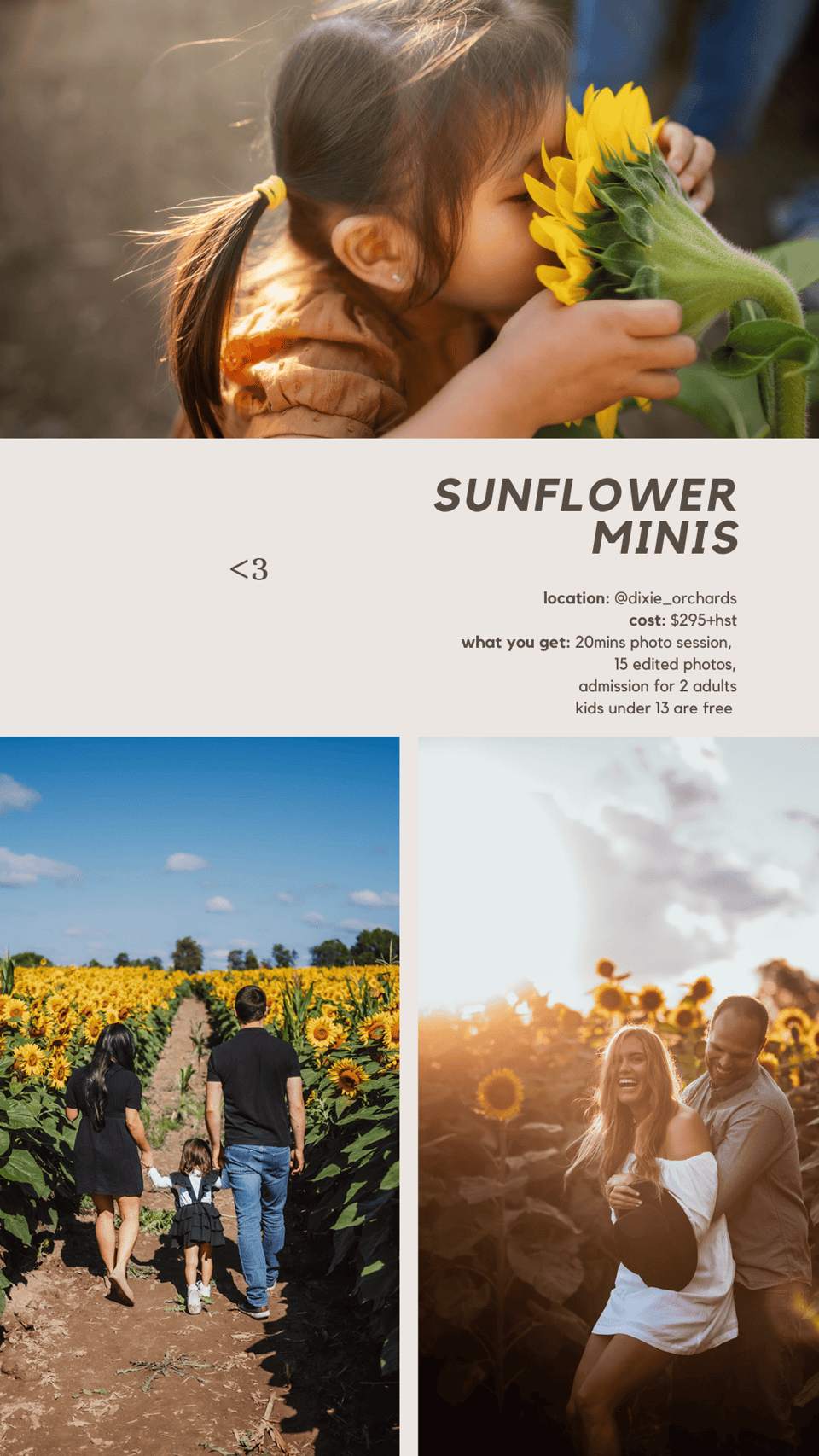 Details for Helene Photography sunflower mini sessions